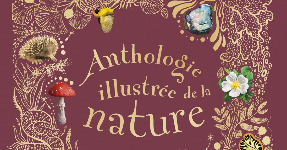 Anthologie illustrée de la nature - Éditions Hurtubise