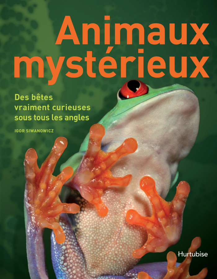 Couverture de Animaux mystérieux
