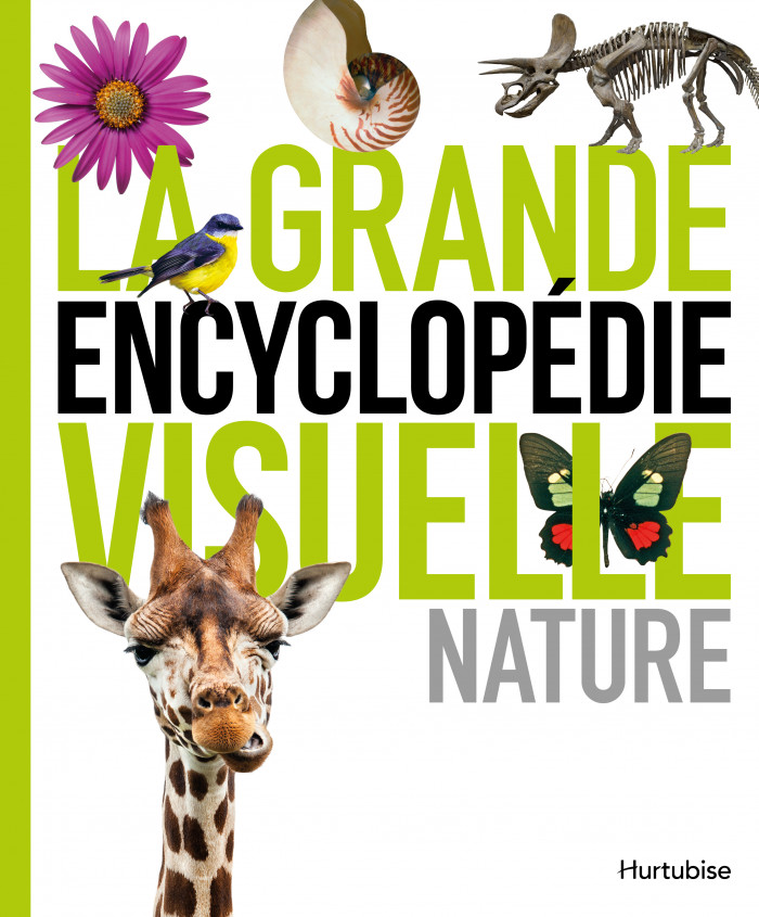 Couverture de La grande encyclopédie visuelle : Nature