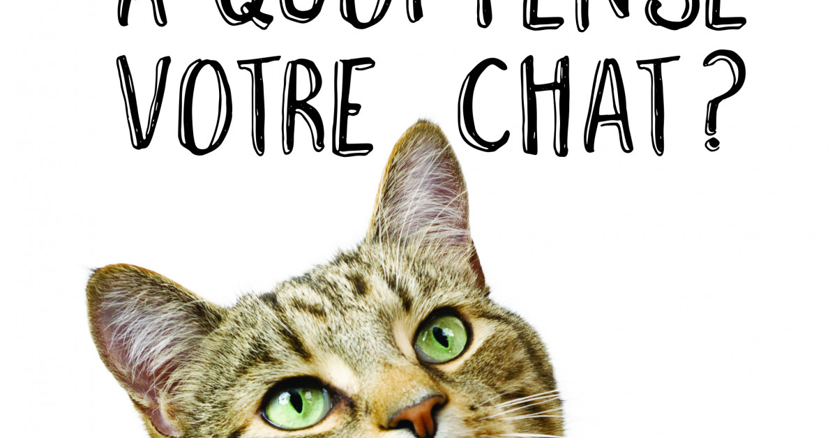 À quoi pense votre chat? - Éditions Hurtubise