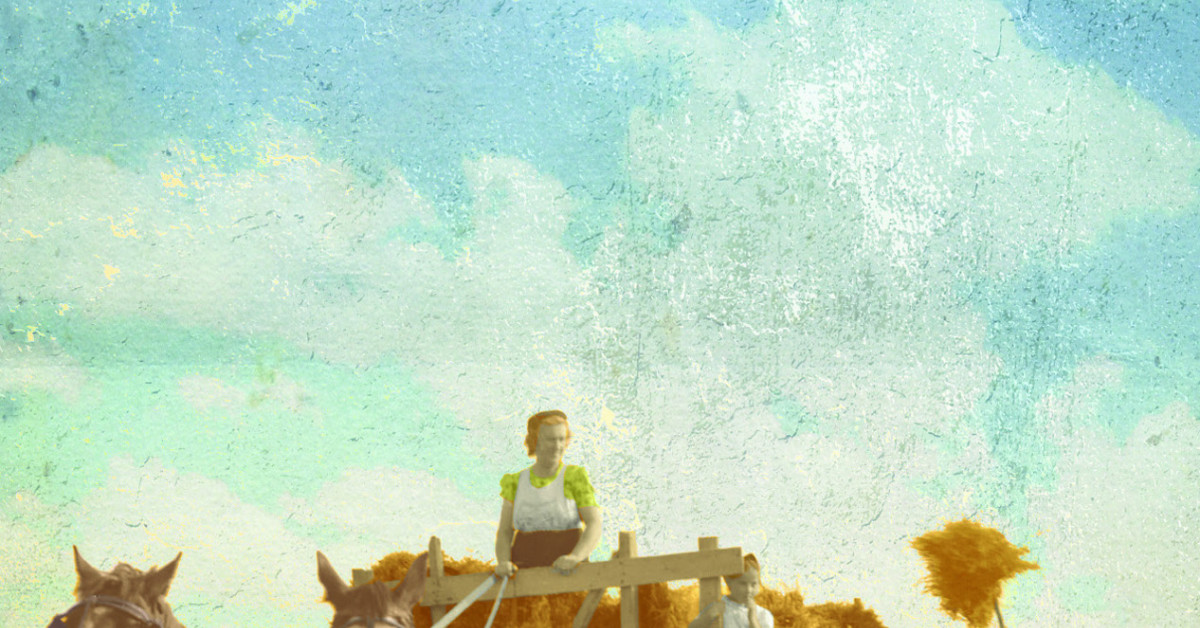 Trente arpents Distribution HMH