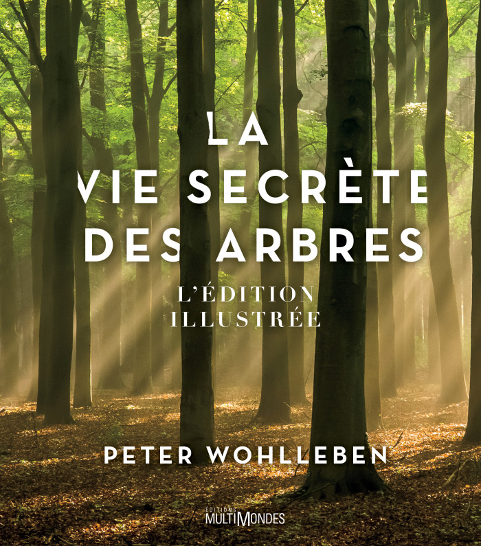 La vie secrète des arbres - Édition illustrée - Éditions MultiMondes