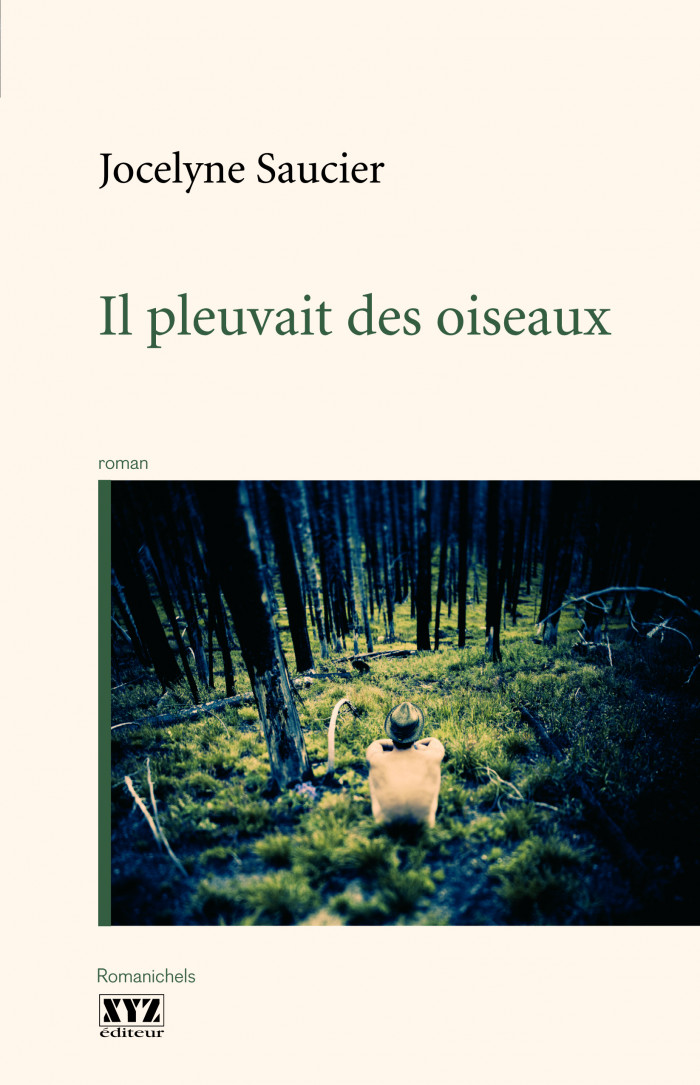 Couverture de Il pleuvait des oiseaux