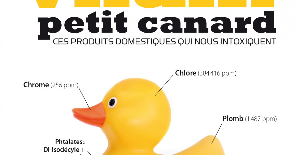 Vilain petit canard: Ces produits domestiques qui nous intoxiquent (French  Edition) eBook : Smith, Rick, Lourie, Bruce: : Kindle Store