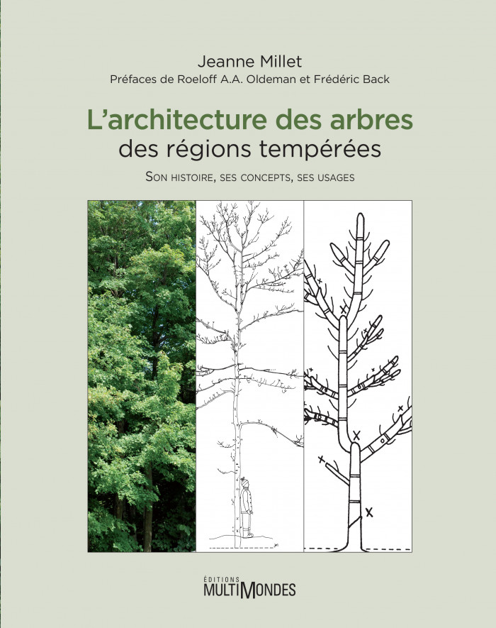Couverture de L’architecture des arbres des régions tempérées