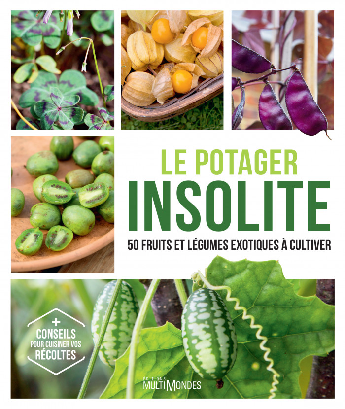 Un potager insolite : Cultivez des légumes originaux !