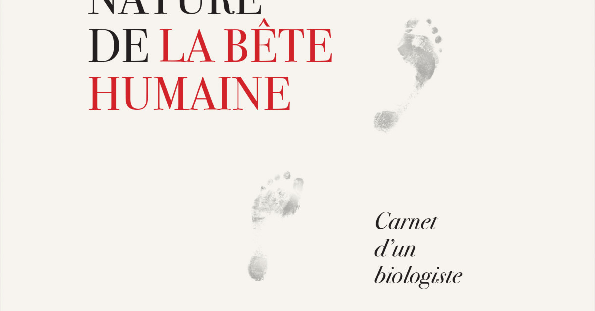 La Bete Humaine Livre Audio distributionhmh.com