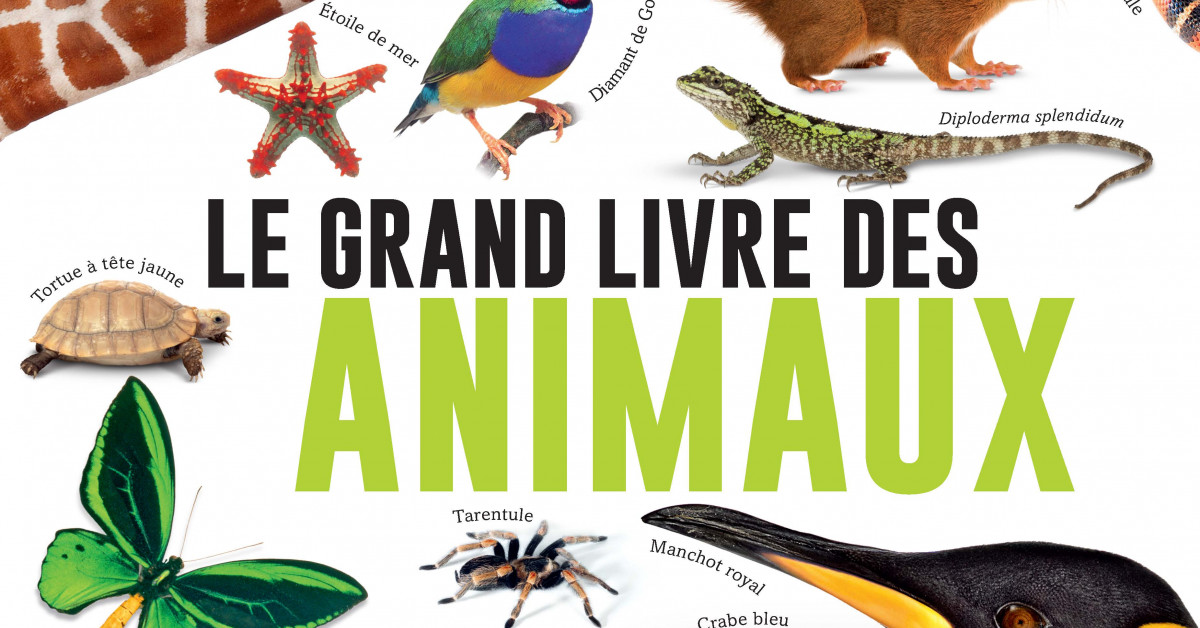 Le grand livre des animaux - Éditions Hurtubise