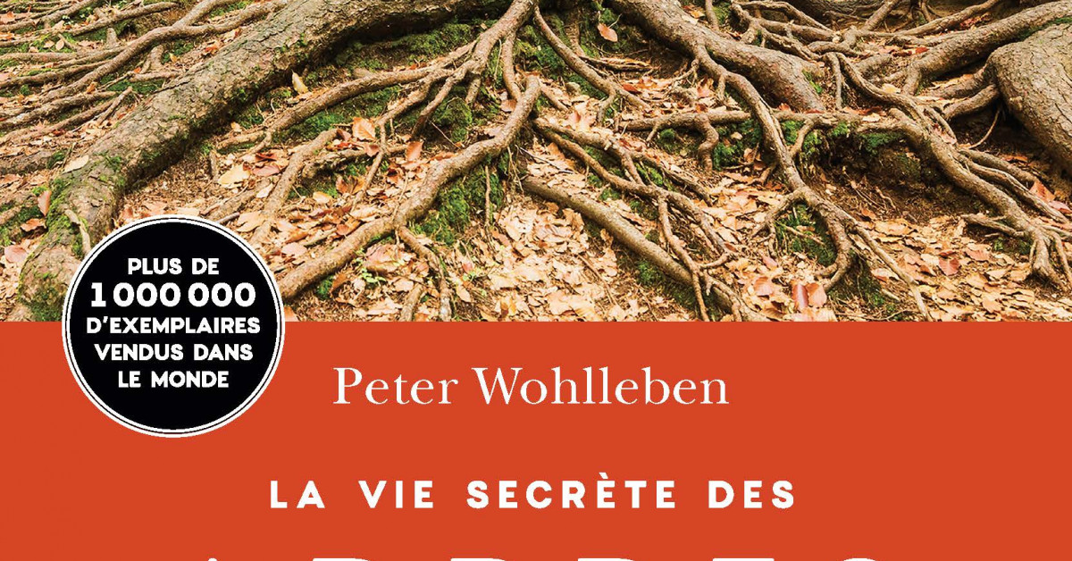 La vie secrète des arbres de Peter Wohlleben - Je lis - POSITIVR