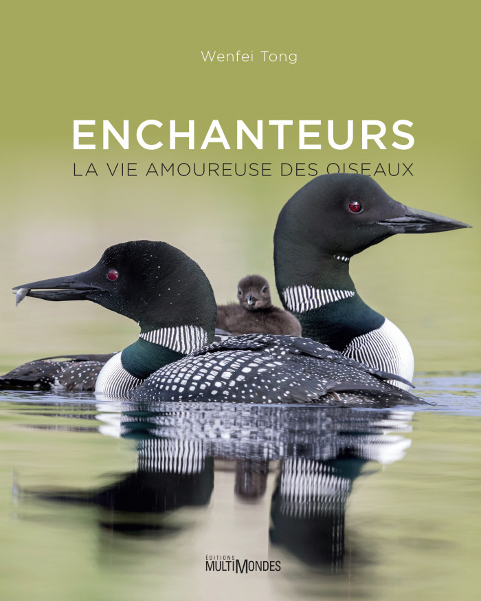 Couverture de Enchanteurs