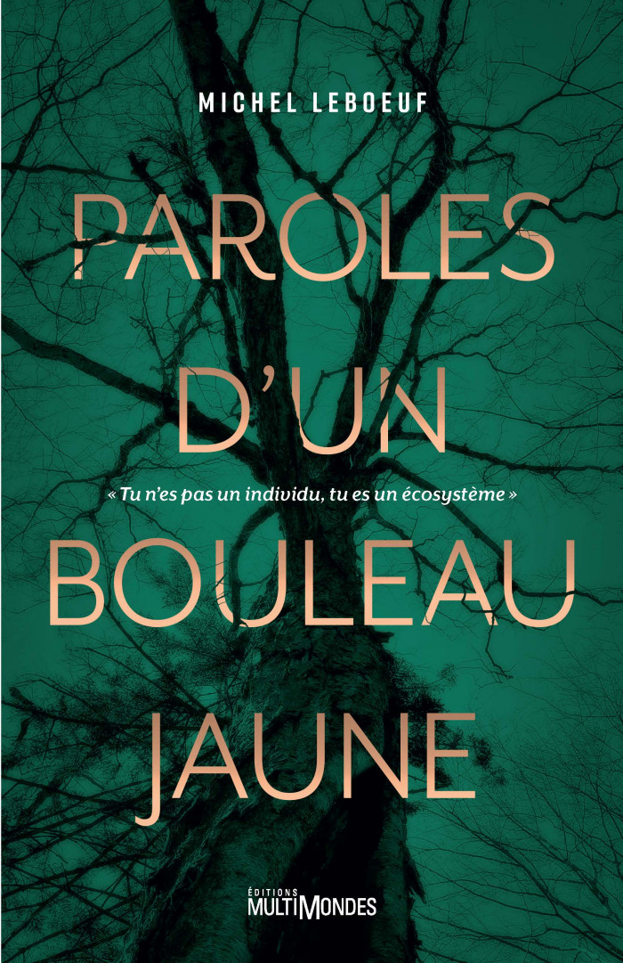 Couverture de Paroles d'un bouleau jaune