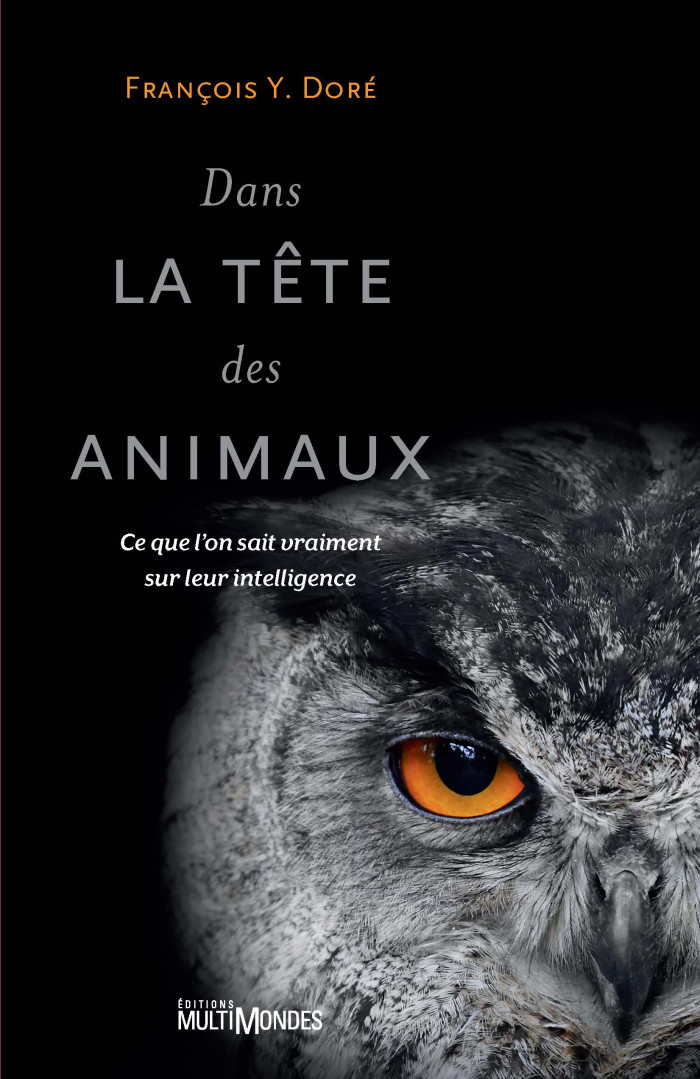 Couverture de Dans la tête des animaux