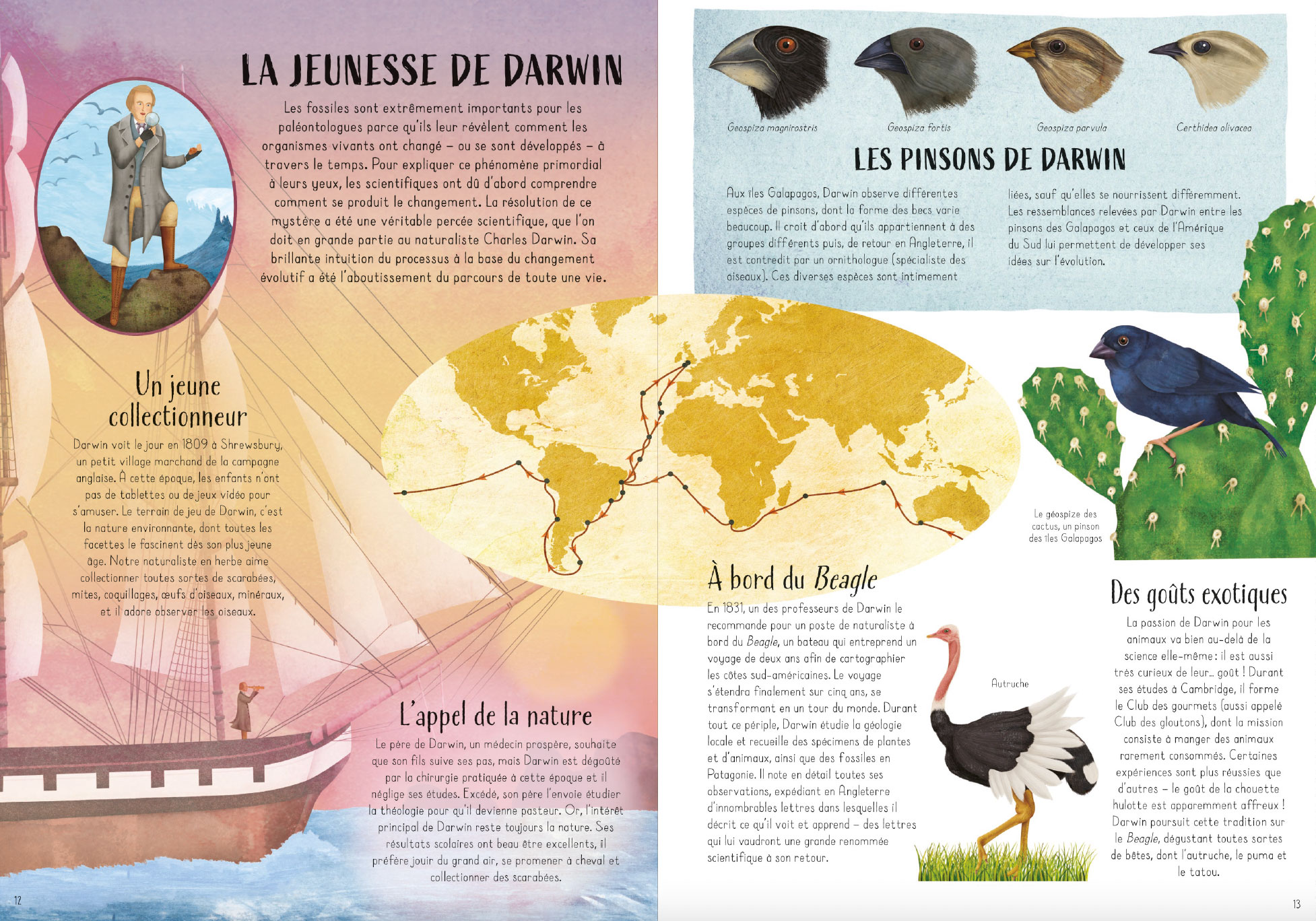 Aperçu (pp.12-13)