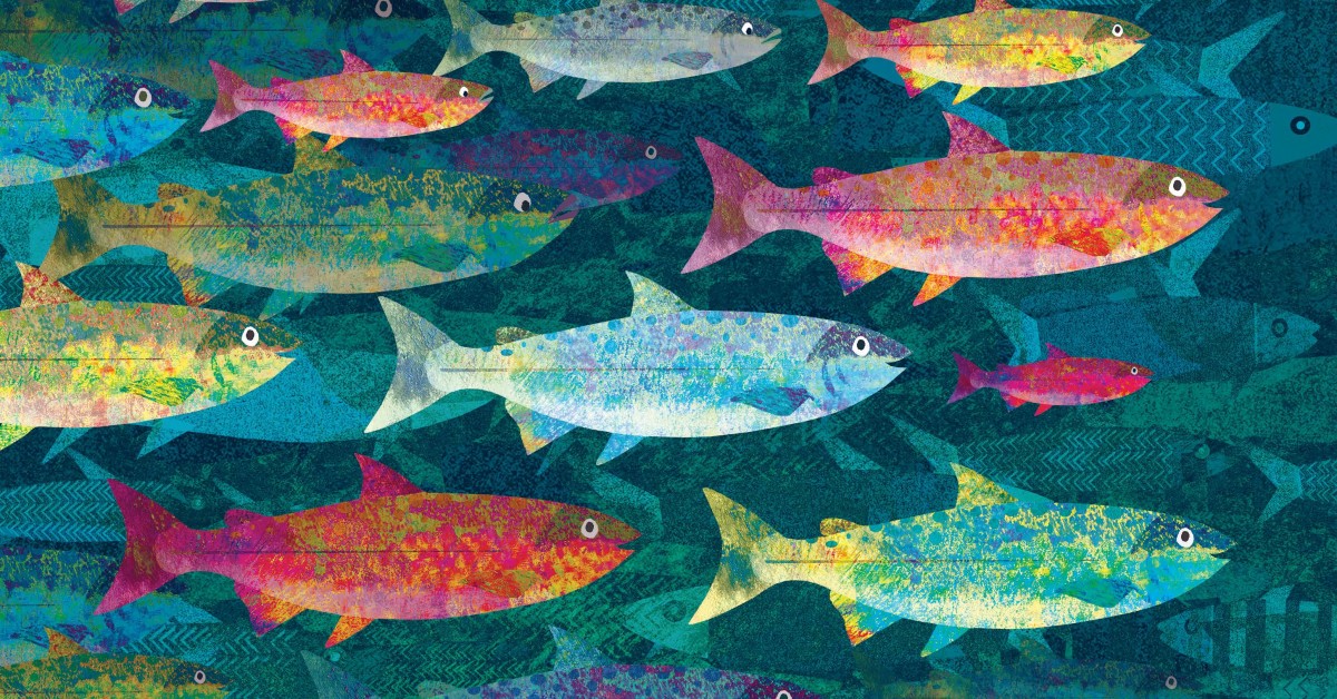 Estampes De Poissons – Collection Heddon – Vintage – Lot De 8