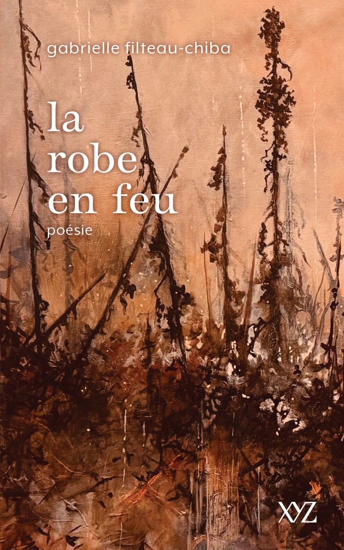 Couverture de La robe en feu