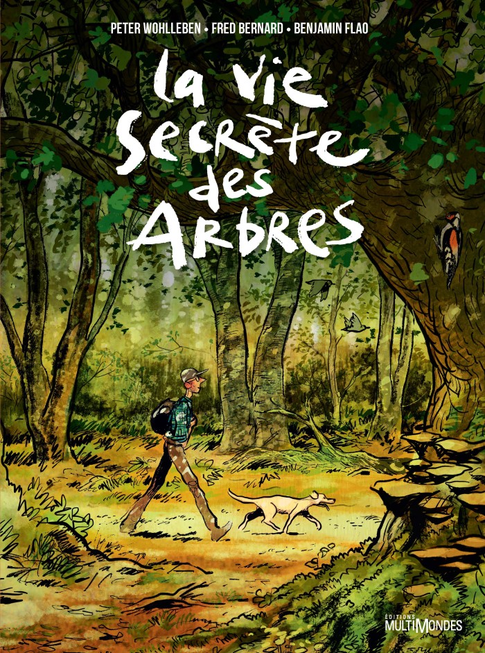La Vie secrète des arbres, de Fred Bernard et Benjamin Flao: une