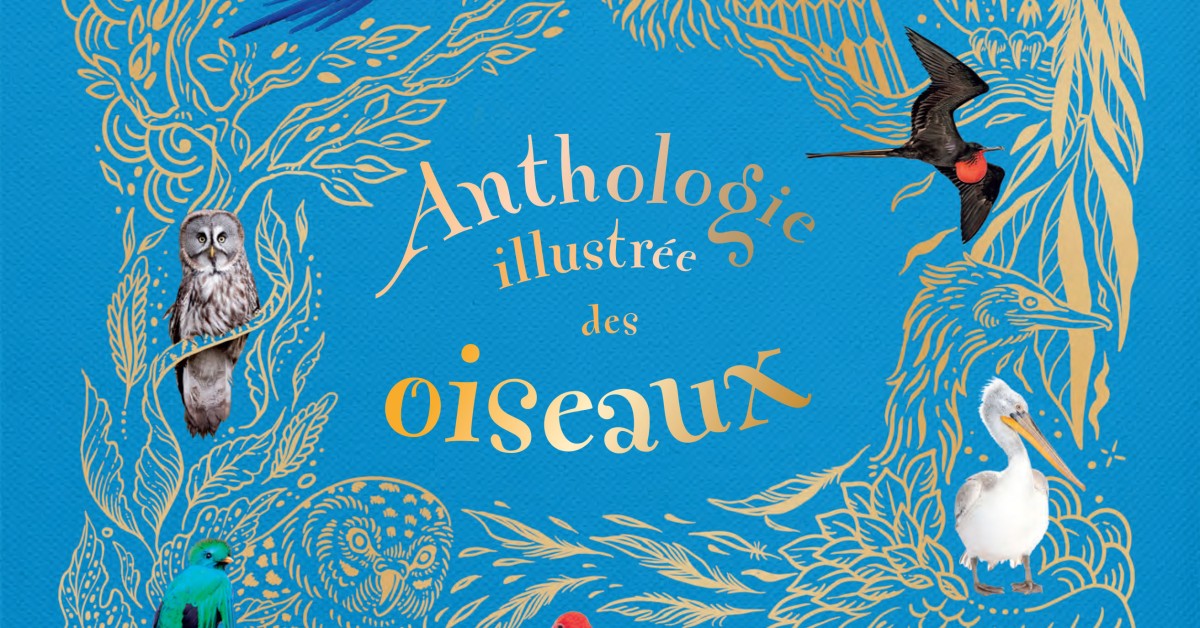Anthologie illustrée des oiseaux - Distribution HMH