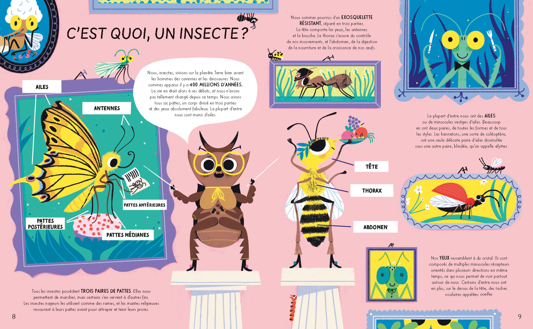 Livre LES INSECTES - Maison Lerouge Livre LES INSECTES - Maison Lerouge