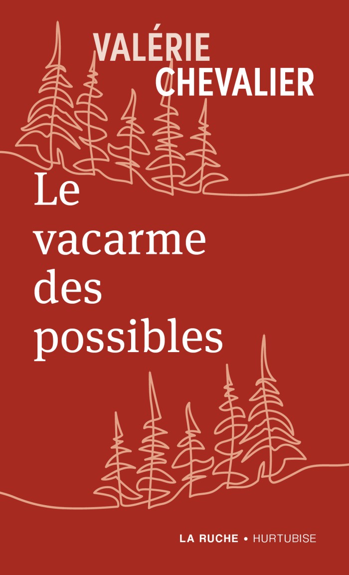 Couverture de Le vacarme des possibles