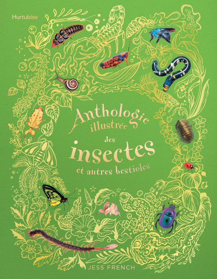 Anthologie Illustr e Des Insectes Et Autres Bestioles ditions Hurtubise anthologie-illustr-e-des-insectes-et-autres-bestioles-ditions-hurtubise